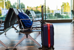 UAE Announces Three-Month Grace Period for Visa Renewal
